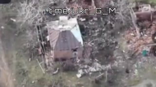 Иллюстрация 1