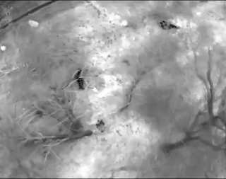 Дроны 392 мотострелкового полка уничтожили группу боевиков ВСУ на Запорожском направлении