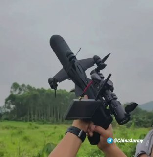 Иллюстрация 1