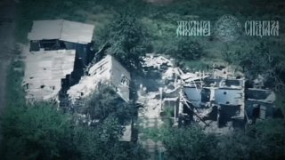 Иллюстрация 1