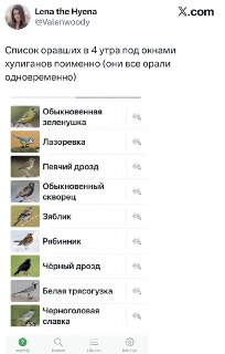 Приложение Merlin Bird ID научилось определять птиц по пению и фото