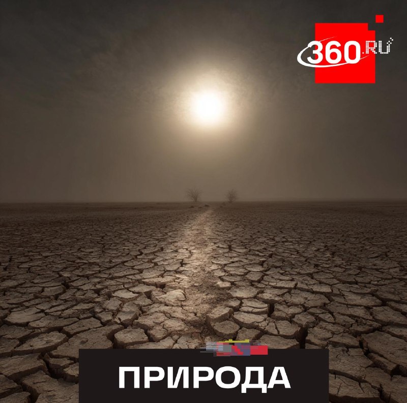 Пекло на пять лет: ученые предрекли планете рекордную жару до 2030 года