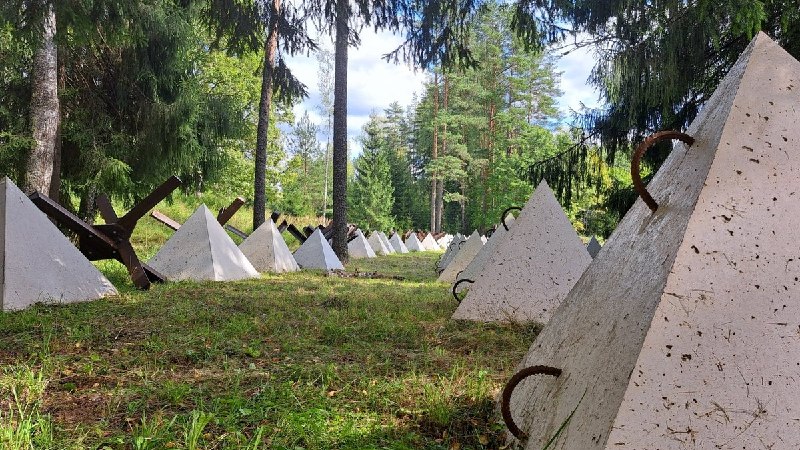 В Латвии на границе с Россией установят «зубы дракона» за счет изъятых частных земель