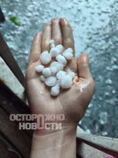 Иллюстрация 6