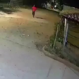 Мужчина отбился от напавших на него собак, используя одну из них в качестве защиты