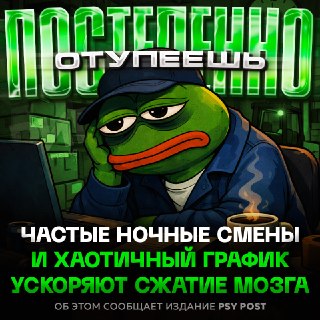 Сменный график работы приводит к уменьшению объёма ключевых зон мозга