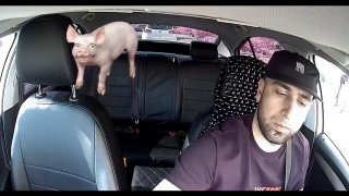 Активисты «Русской общины» напали на таксиста после его видео с жалобами на пассажирку