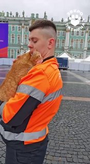 Рыжая кошка «проинспектировала» подготовку площадки перед «Классикой на Дворцовой»