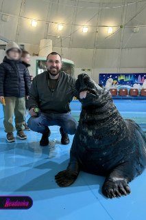 Сотрудники Мурманского океанариума несколько месяцев выживают без зарплаты