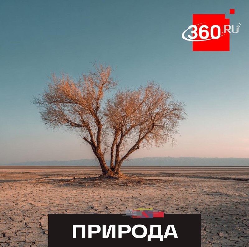 Климат продолжит тенденцию к потеплению, в России это происходит быстрее среднемирового