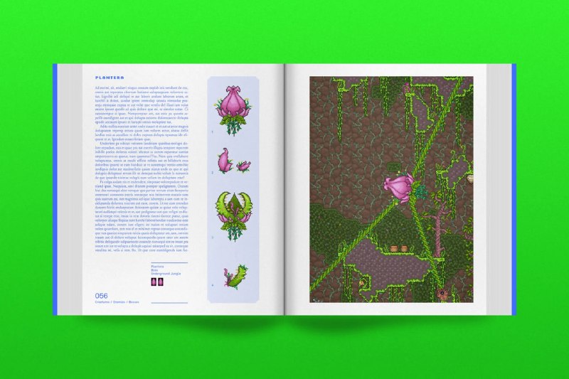 Иллюстрация 5