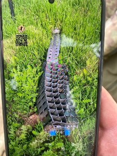 Иллюстрация 8