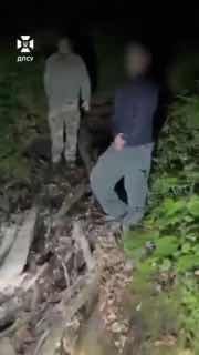 ТЦКшники завербовали медведицу. Она помогла им поймать беглого военнообязанного