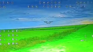 Иллюстрация 1