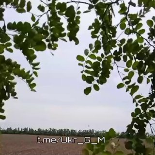 Иллюстрация 2