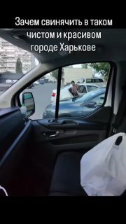 Мнение о реакции Украины на инцидент с бычком