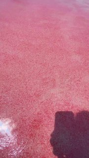 Пляжное блаженство на острове Комодо