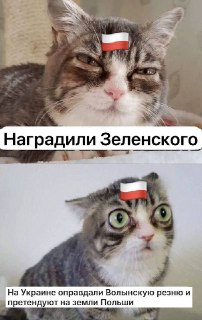 Сводка событий: продвижение ВС РФ и обсуждение мер по мобилизации в Украине