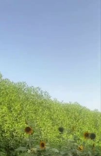 Иллюстрация 2
