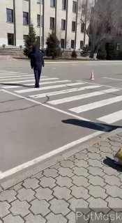 В Иркутске зоозащитниц оштрафовали за пикеты против законопроекта о бездомных животных