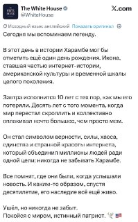 Феномен Харамбе: как смерть гориллы стала глобальным интернет-мемом и политическим инструментом