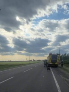 На Украине водитель пытался сбежать от ТЦК, но влетел в кювет