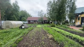 Иллюстрация 5