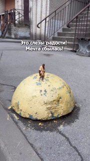 В сети нашли бесплатный способ попасть на концерт Канье Уэста