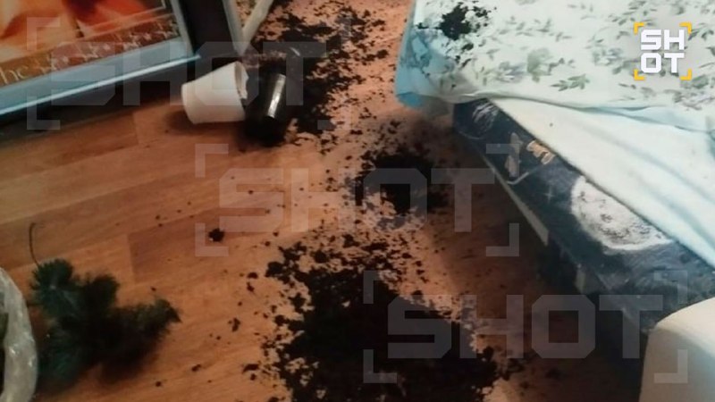 Иллюстрация 2