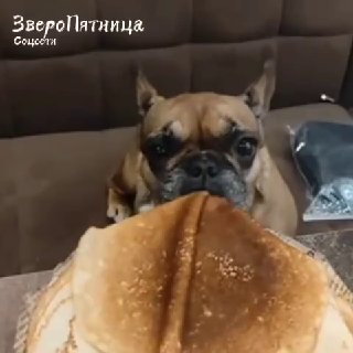 Сегодня День здорового питания