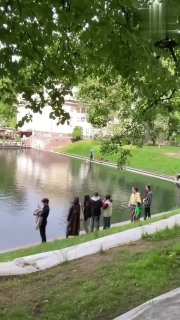 Полуголый москвич вторгся в пруд на Патриарших, но был позорно изгнан лебедем