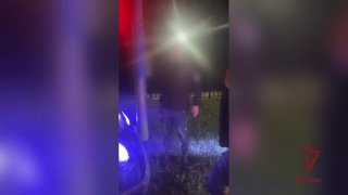 В Видном водитель-угонщик врезался в дерево после поездки в магазин за спиртным