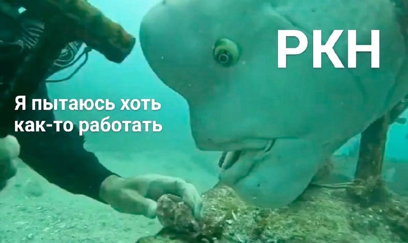 Ограничения VPN-трафика осложняют работу программистов в России