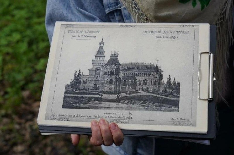 Иллюстрация 5