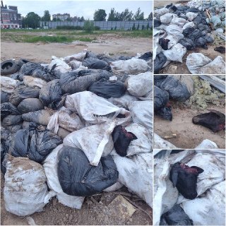 В Москве обнаружили захоронение останков животных после Курбан-Байрама