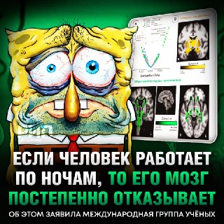 Работа по ночам уменьшает мозг человека, — исследование