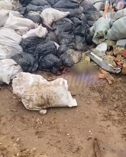 Жители подмосковного Видного жалуются на свалку из останков баранов возле жилого комплекса