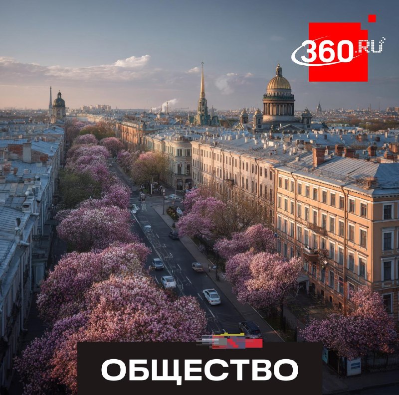 Влияние ПМЭФ на стоимость аренды жилья в Петербурге