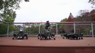 Тайвань показал боевых робособак