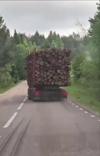 В Швеции из лесовоза на дорогу выпали брёвна