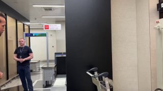 Эндрю Тейт и Кэндис Оуэнс приедут на ПМЭФ в Москву