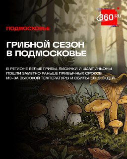 Иллюстрация 1