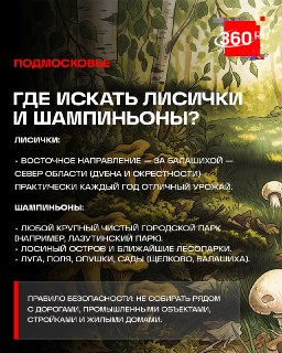 Иллюстрация 3