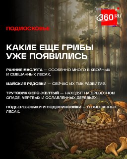 Иллюстрация 4