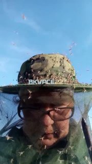 Иллюстрация 1