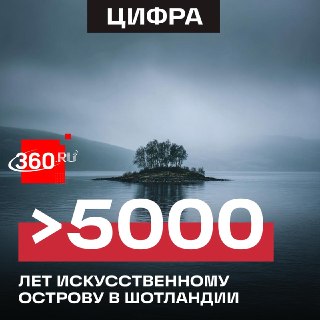 Иллюстрация 1