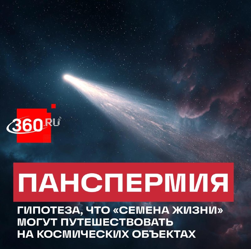Иллюстрация 1