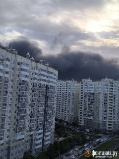 Иллюстрация 1