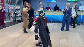 Подборка роботов на ПМЭФ-2026