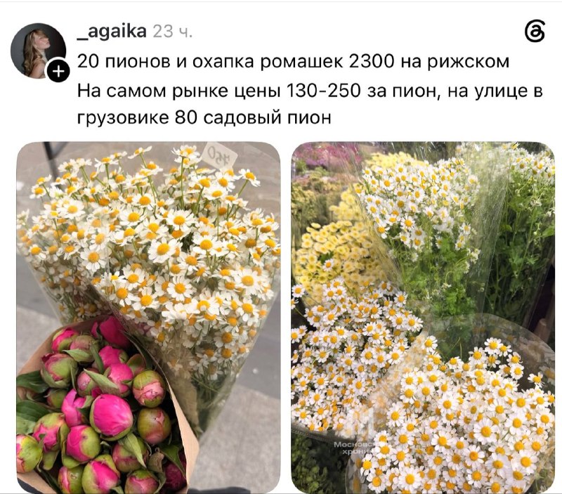 Москвичка купила большой букет цветов на Рижском рынке значительно дешевле, чем в магазинах